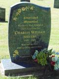 image of grave number 582870